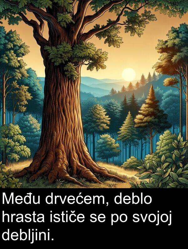 deblo: Među drvećem, deblo hrasta ističe se po svojoj debljini.
