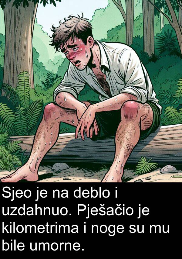 deblo: Sjeo je na deblo i uzdahnuo. Pješačio je kilometrima i noge su mu bile umorne.