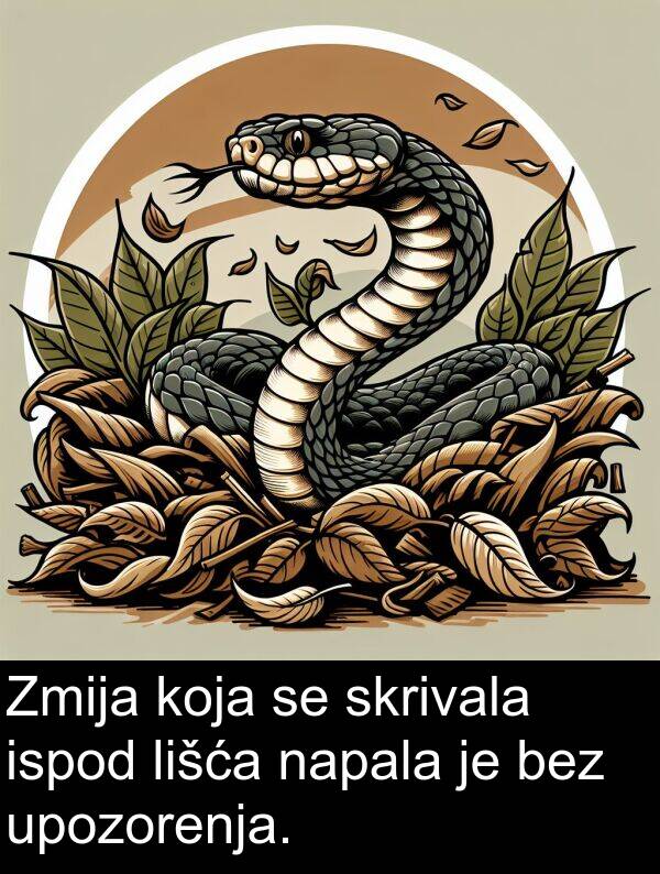napala: Zmija koja se skrivala ispod lišća napala je bez upozorenja.