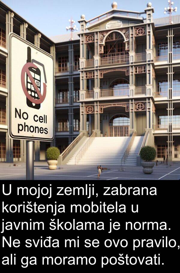 zemlji: U mojoj zemlji, zabrana korištenja mobitela u javnim školama je norma. Ne sviđa mi se ovo pravilo, ali ga moramo poštovati.