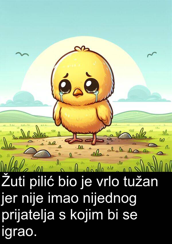 nijednog: Žuti pilić bio je vrlo tužan jer nije imao nijednog prijatelja s kojim bi se igrao.