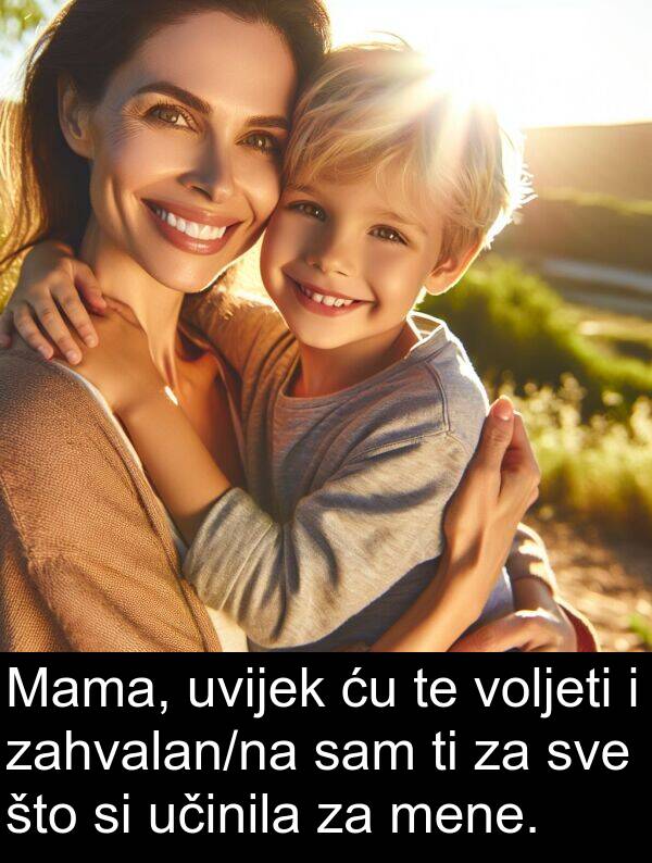 učinila: Mama, uvijek ću te voljeti i zahvalan/na sam ti za sve što si učinila za mene.