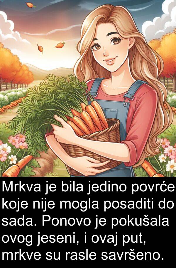 savršeno: Mrkva je bila jedino povrće koje nije mogla posaditi do sada. Ponovo je pokušala ovog jeseni, i ovaj put, mrkve su rasle savršeno.