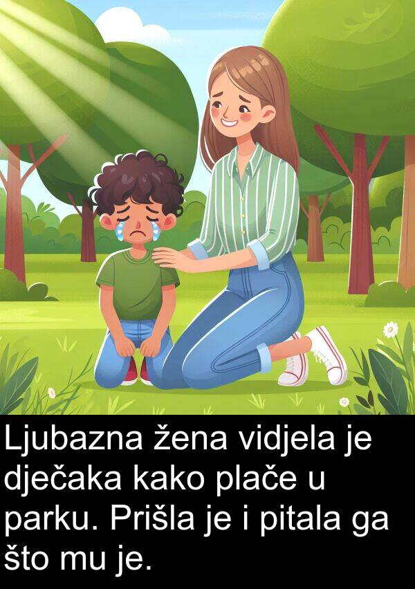 parku: Ljubazna žena vidjela je dječaka kako plače u parku. Prišla je i pitala ga što mu je.
