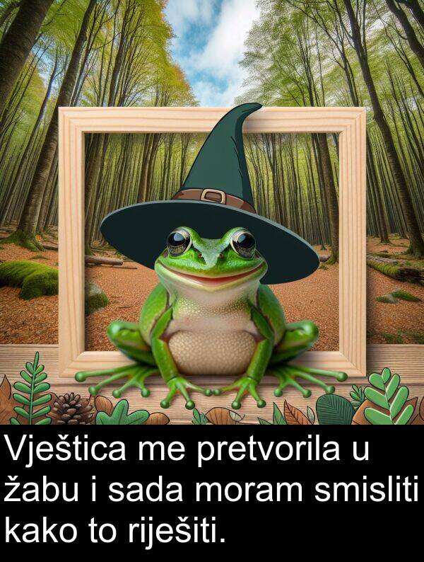 žabu: Vještica me pretvorila u žabu i sada moram smisliti kako to riješiti.