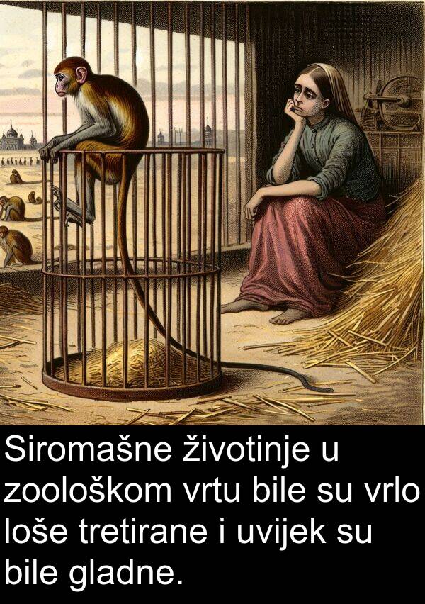 gladne: Siromašne životinje u zoološkom vrtu bile su vrlo loše tretirane i uvijek su bile gladne.