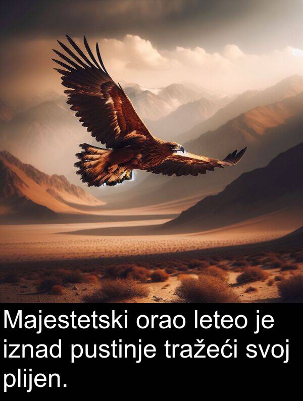 iznad: Majestetski orao leteo je iznad pustinje tražeći svoj plijen.