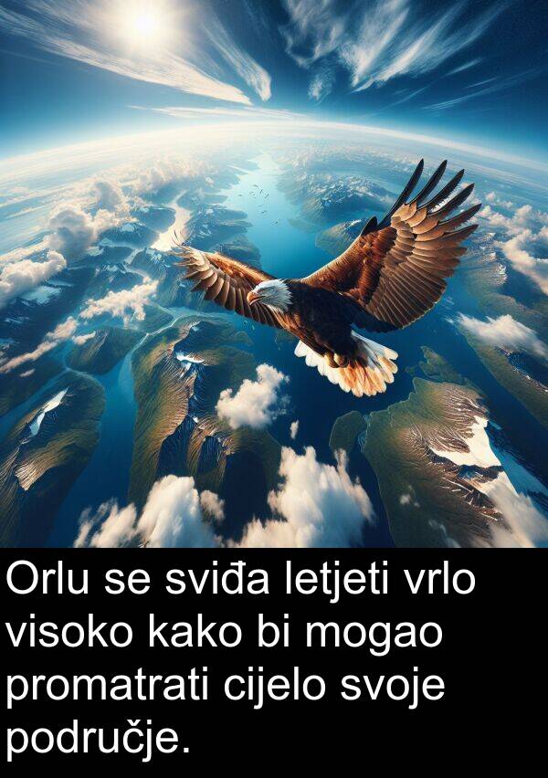 cijelo: Orlu se sviđa letjeti vrlo visoko kako bi mogao promatrati cijelo svoje područje.