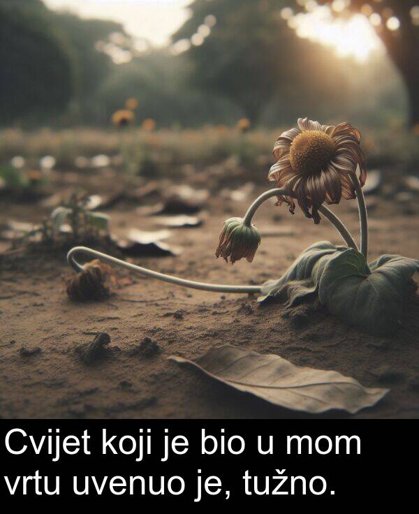 bio: Cvijet koji je bio u mom vrtu uvenuo je, tužno.