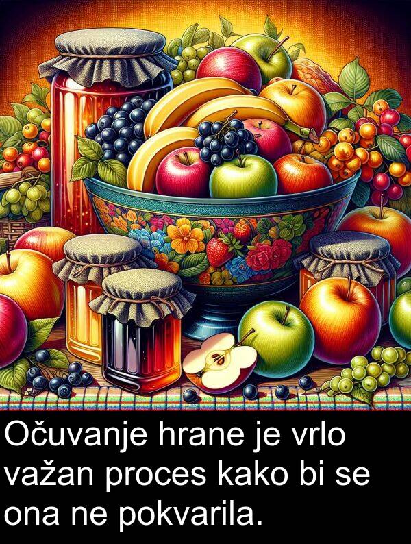 hrane: Očuvanje hrane je vrlo važan proces kako bi se ona ne pokvarila.