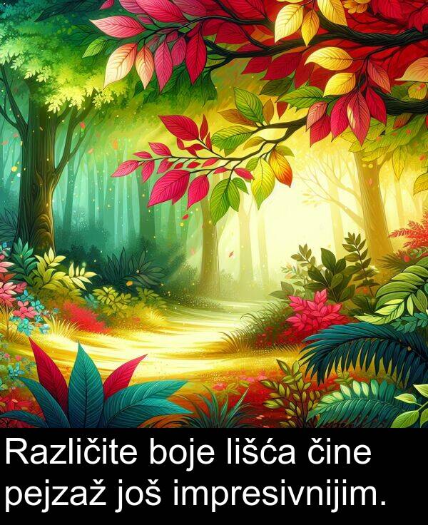 pejzaž: Različite boje lišća čine pejzaž još impresivnijim.
