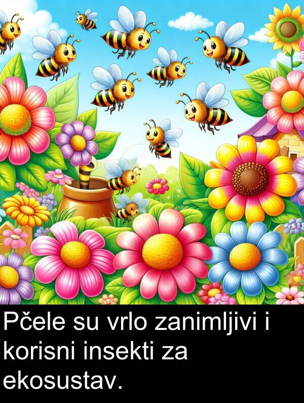 zanimljivi: Pčele su vrlo zanimljivi i korisni insekti za ekosustav.
