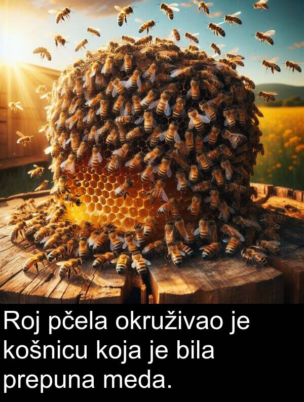 pčela: Roj pčela okruživao je košnicu koja je bila prepuna meda.