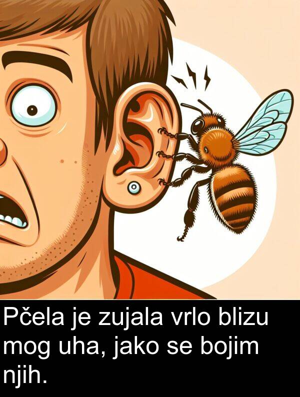 blizu: Pčela je zujala vrlo blizu mog uha, jako se bojim njih.