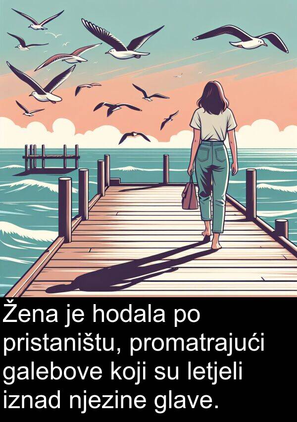 glave: Žena je hodala po pristaništu, promatrajući galebove koji su letjeli iznad njezine glave.