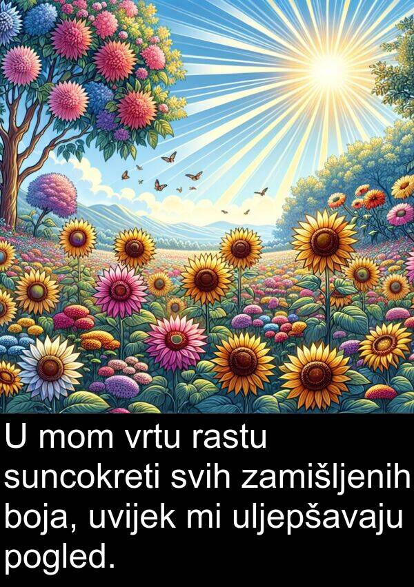 uljepšavaju: U mom vrtu rastu suncokreti svih zamišljenih boja, uvijek mi uljepšavaju pogled.