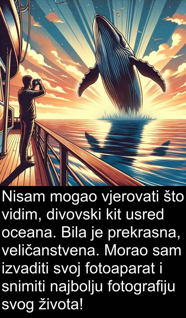 fotografiju: Nisam mogao vjerovati što vidim, divovski kit usred oceana. Bila je prekrasna, veličanstvena. Morao sam izvaditi svoj fotoaparat i snimiti najbolju fotografiju svog života!