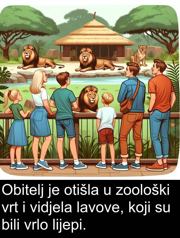bili: Obitelj je otišla u zoološki vrt i vidjela lavove, koji su bili vrlo lijepi.