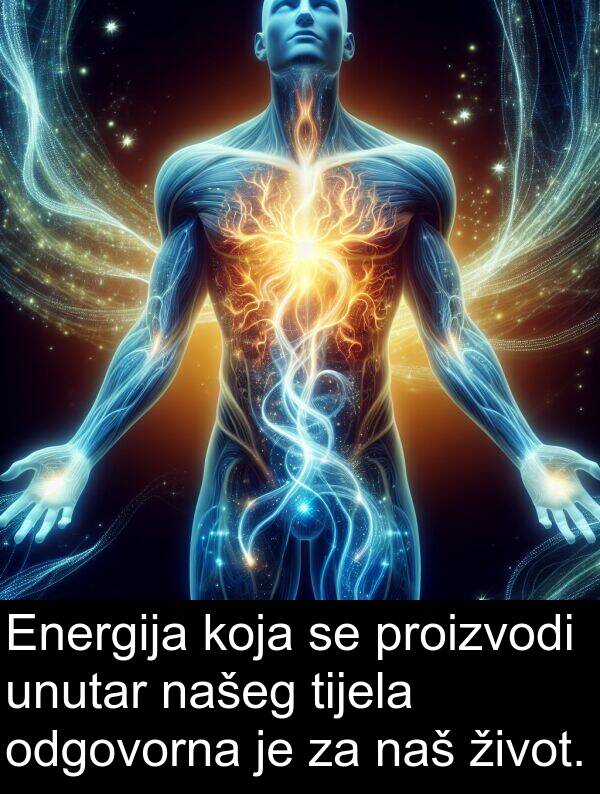 tijela: Energija koja se proizvodi unutar našeg tijela odgovorna je za naš život.