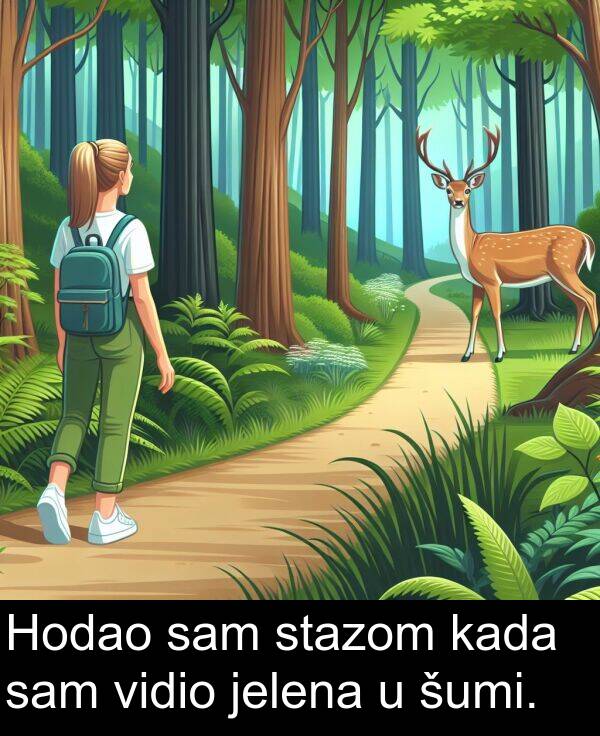 kada: Hodao sam stazom kada sam vidio jelena u šumi.