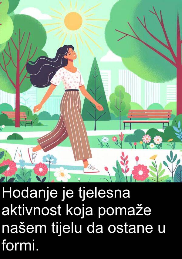 aktivnost: Hodanje je tjelesna aktivnost koja pomaže našem tijelu da ostane u formi.