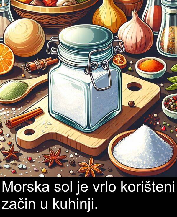 kuhinji: Morska sol je vrlo korišteni začin u kuhinji.