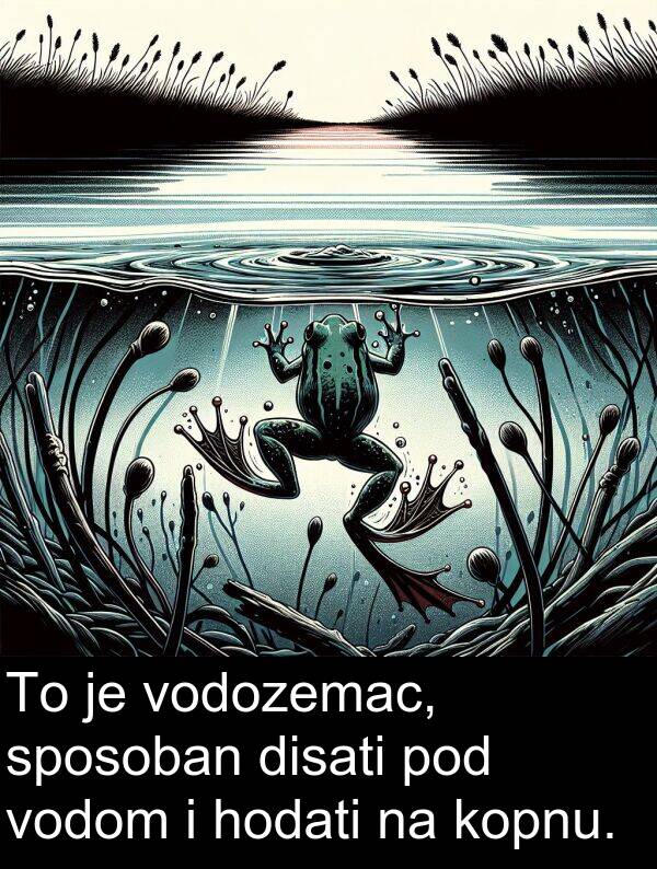 disati: To je vodozemac, sposoban disati pod vodom i hodati na kopnu.