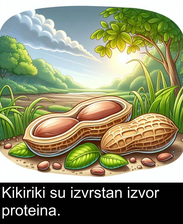 proteina: Kikiriki su izvrstan izvor proteina.