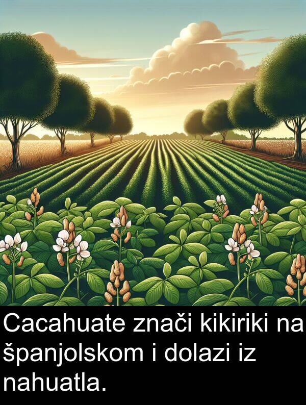 kikiriki: Cacahuate znači kikiriki na španjolskom i dolazi iz nahuatla.