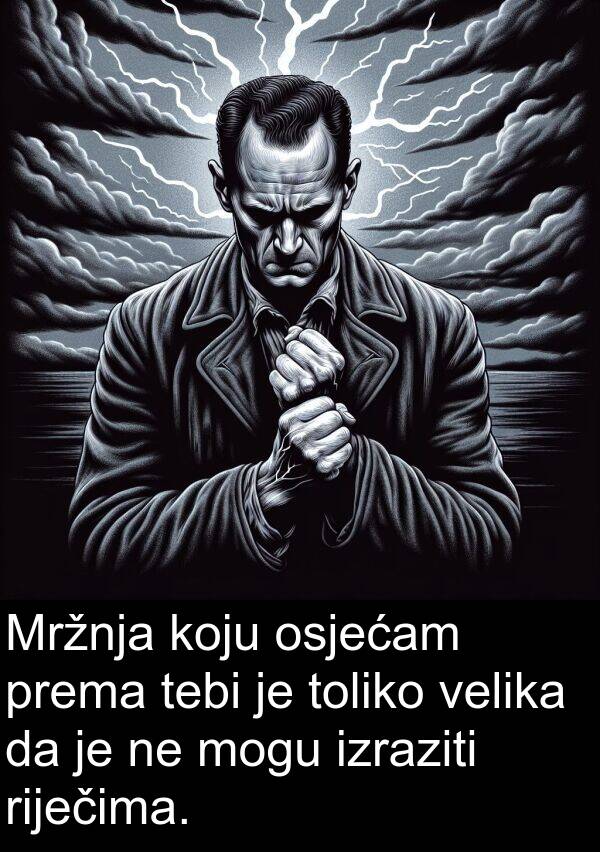 toliko: Mržnja koju osjećam prema tebi je toliko velika da je ne mogu izraziti riječima.