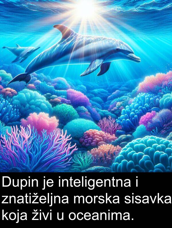 inteligentna: Dupin je inteligentna i znatiželjna morska sisavka koja živi u oceanima.