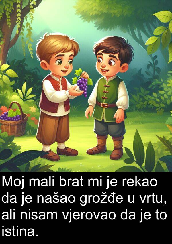 mali: Moj mali brat mi je rekao da je našao grožđe u vrtu, ali nisam vjerovao da je to istina.