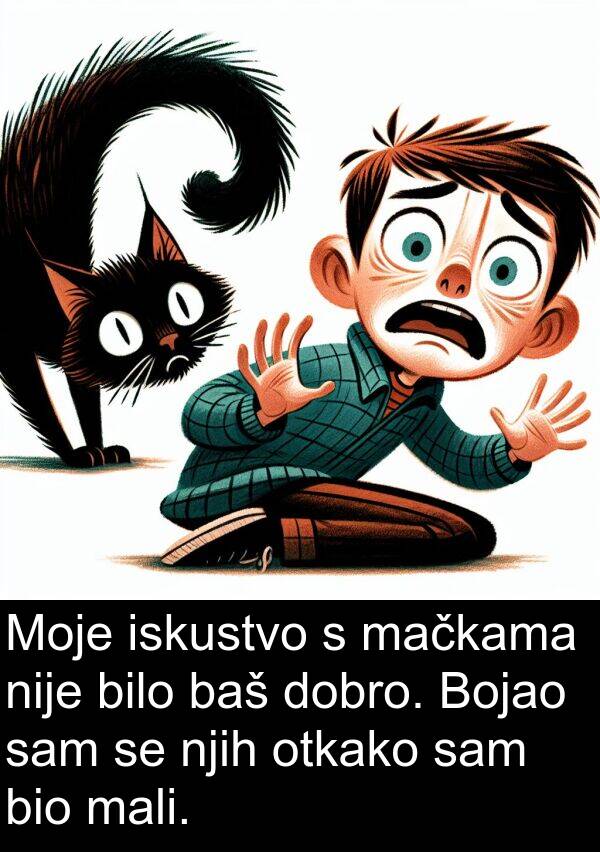 mali: Moje iskustvo s mačkama nije bilo baš dobro. Bojao sam se njih otkako sam bio mali.