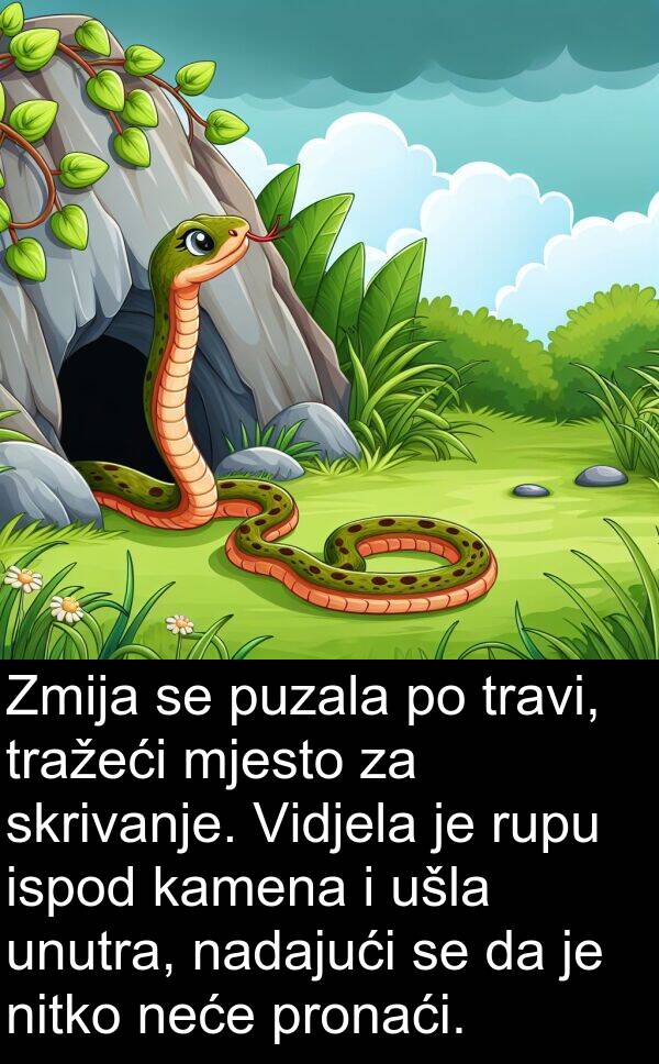kamena: Zmija se puzala po travi, tražeći mjesto za skrivanje. Vidjela je rupu ispod kamena i ušla unutra, nadajući se da je nitko neće pronaći.