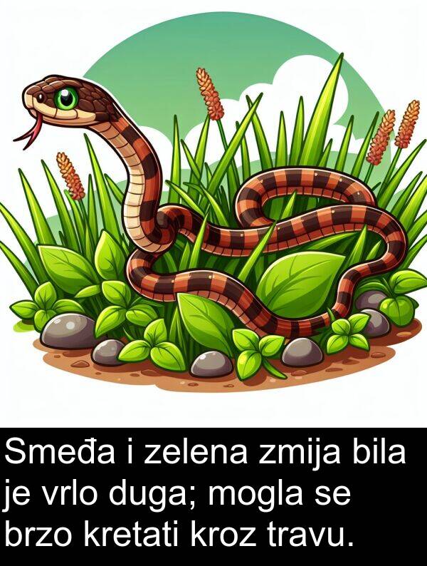 zmija: Smeđa i zelena zmija bila je vrlo duga; mogla se brzo kretati kroz travu.