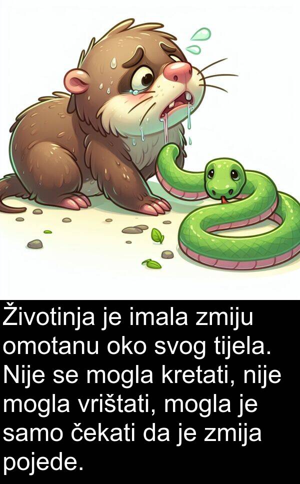 tijela: Životinja je imala zmiju omotanu oko svog tijela. Nije se mogla kretati, nije mogla vrištati, mogla je samo čekati da je zmija pojede.