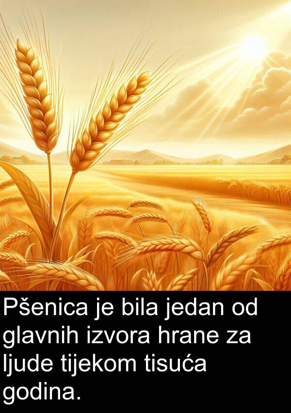 glavnih: Pšenica je bila jedan od glavnih izvora hrane za ljude tijekom tisuća godina.