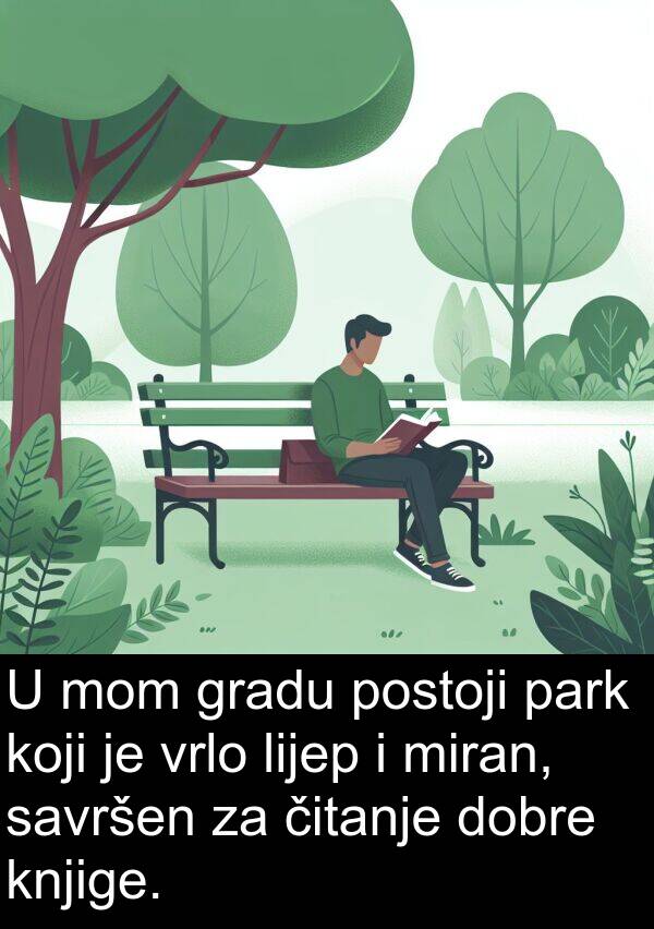 park: U mom gradu postoji park koji je vrlo lijep i miran, savršen za čitanje dobre knjige.