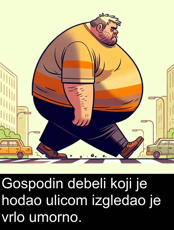 hodao: Gospodin debeli koji je hodao ulicom izgledao je vrlo umorno.
