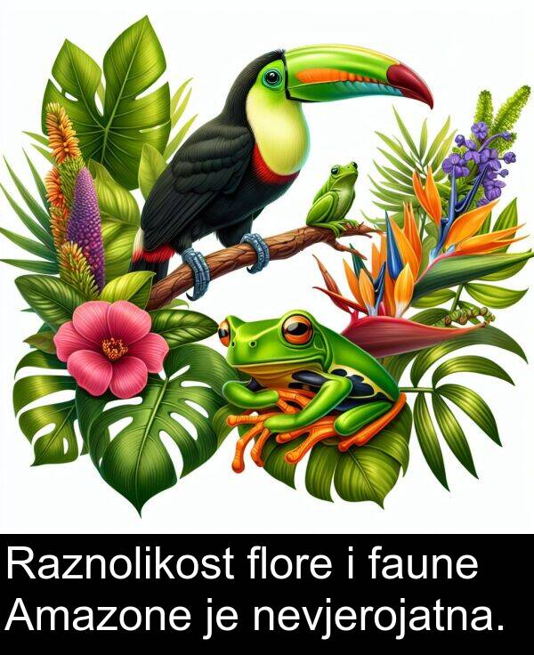 faune: Raznolikost flore i faune Amazone je nevjerojatna.