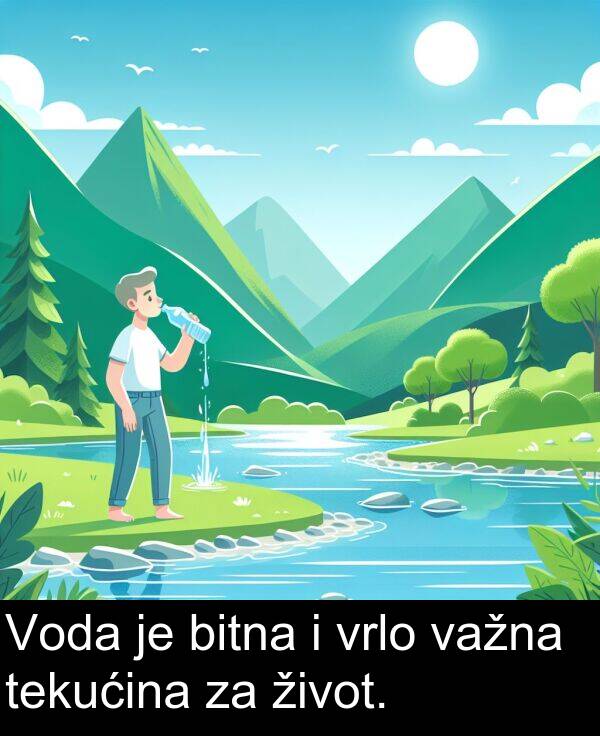 bitna: Voda je bitna i vrlo važna tekućina za život.