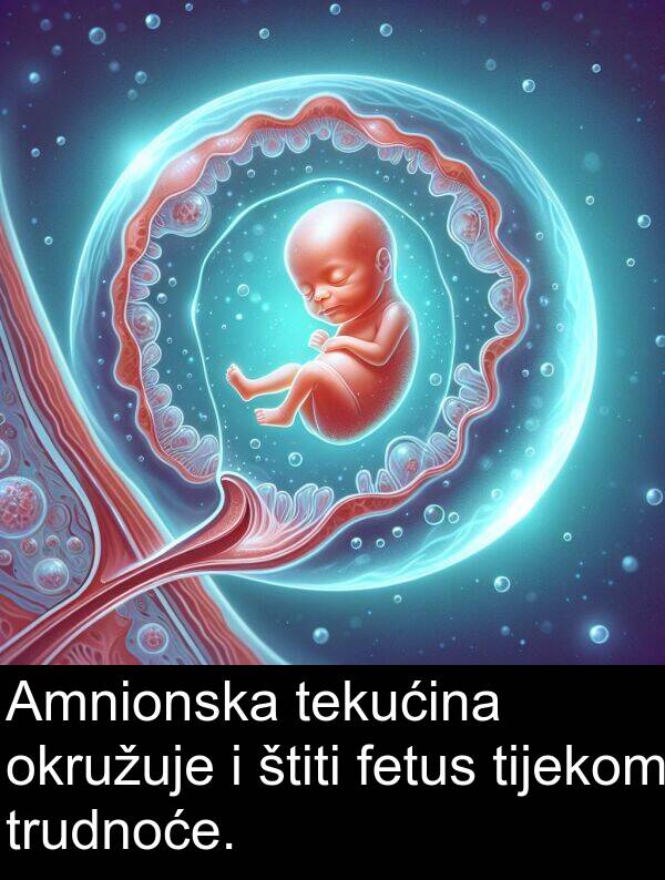 tekućina: Amnionska tekućina okružuje i štiti fetus tijekom trudnoće.