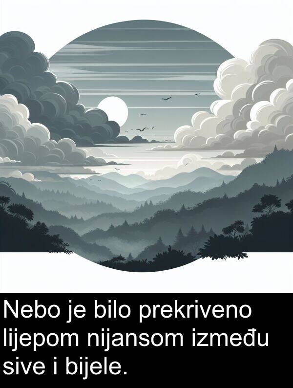 bilo: Nebo je bilo prekriveno lijepom nijansom između sive i bijele.