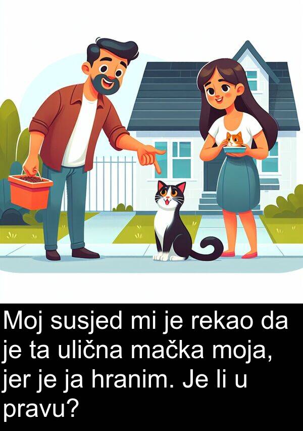 mačka: Moj susjed mi je rekao da je ta ulična mačka moja, jer je ja hranim. Je li u pravu?