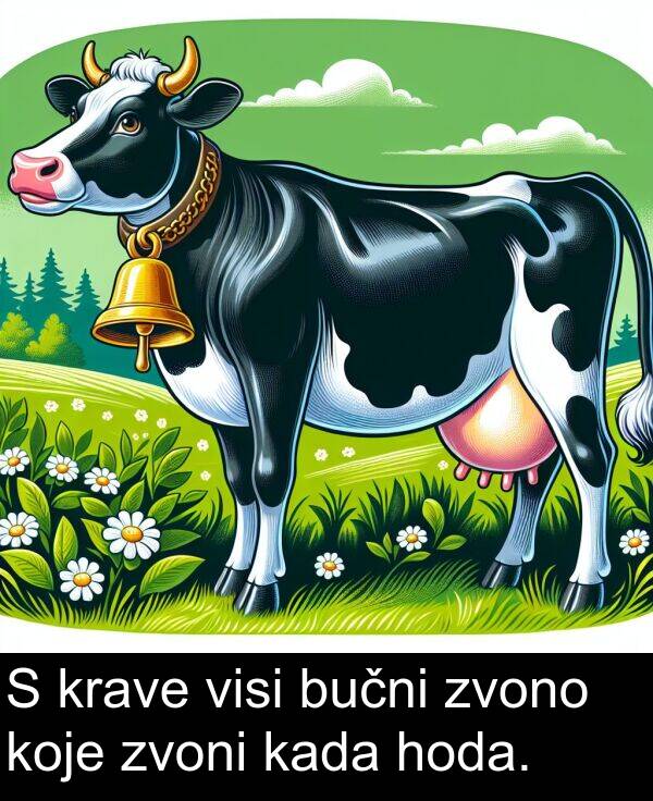 kada: S krave visi bučni zvono koje zvoni kada hoda.