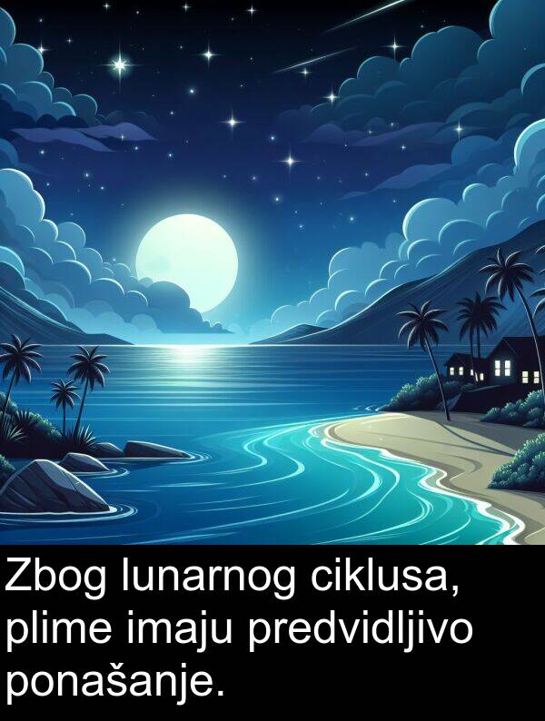 plime: Zbog lunarnog ciklusa, plime imaju predvidljivo ponašanje.