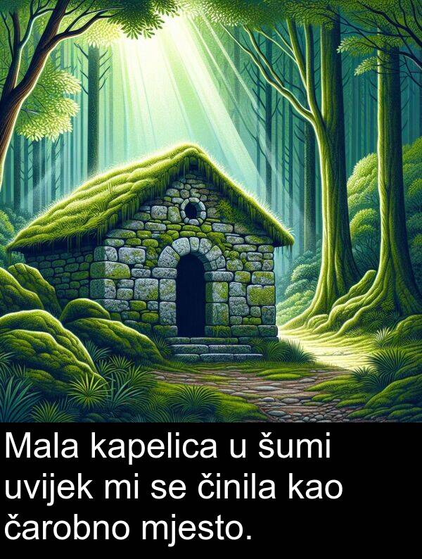 kapelica: Mala kapelica u šumi uvijek mi se činila kao čarobno mjesto.