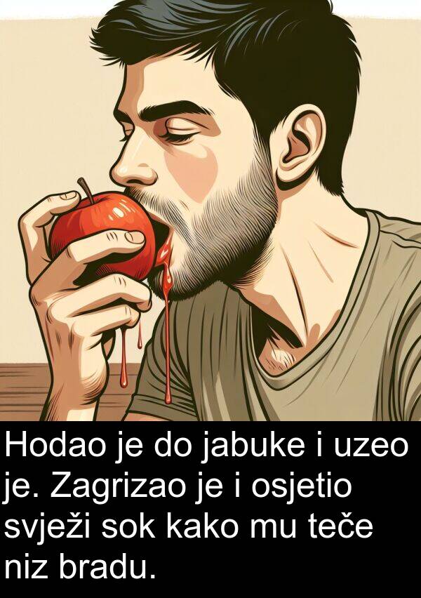 teče: Hodao je do jabuke i uzeo je. Zagrizao je i osjetio svježi sok kako mu teče niz bradu.