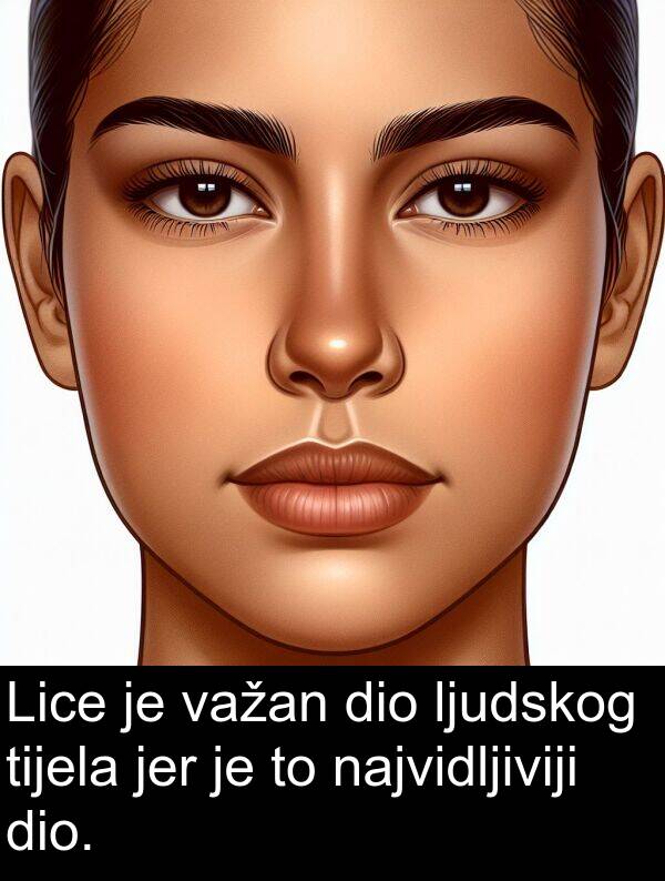 tijela: Lice je važan dio ljudskog tijela jer je to najvidljiviji dio.