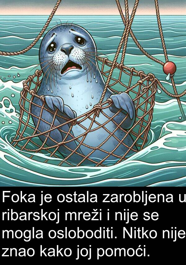 zarobljena: Foka je ostala zarobljena u ribarskoj mreži i nije se mogla osloboditi. Nitko nije znao kako joj pomoći.